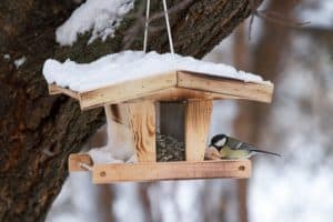 vogel futterhaus für kinder vogelhäuser für Kinder