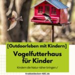 Vogelfutterhäuser für Kinder | Kindern die Natur näher bringen ✓
