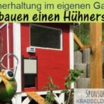 Einen Hühnerstall selber bauen ✓ | Bauanleitung & Erfahrungen