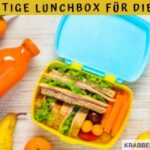 Die richtige Lunchbox für die Schule
