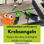 Krebsangeln | Die besten Köder & DIY-Krebsangeln ✓